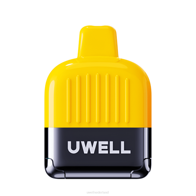 FXZZ312 UWELL DN8000 wegwerp damp - UWELL Maastricht gemixte bessen