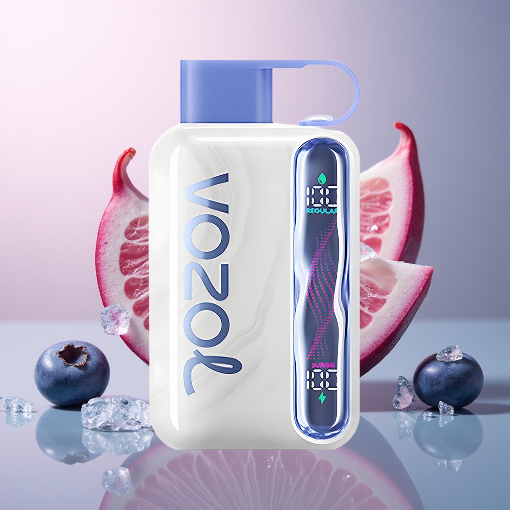 VOZOL STAR 40000 Blauwebes IJs 1000mAh Type-C 20/50mg