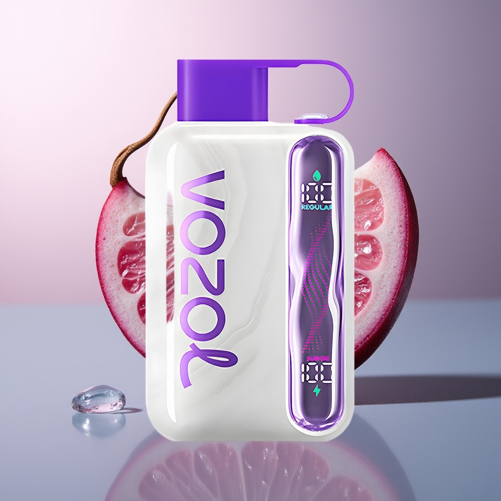 VOZOL STAR 40000 Druiven IJs 1000mAh Type-C 20/50mg/ml