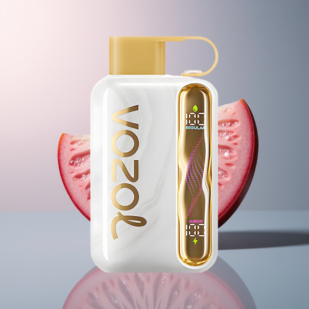 VOZOL STAR 40000 Melon Kauwgom 1000mAh 20/50mg/ml Type-C