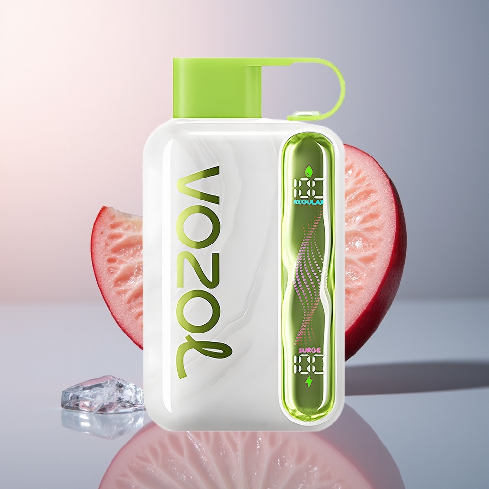 VOZOL STAR 40000 Zure Appel IJs 1000mAh Type-C 20/50mg/ml