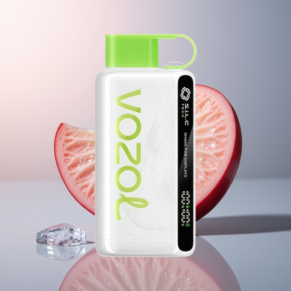 VOZOL STAR 9000/12000 Zure Appel IJs met Snelle Oplading en Gerecycled Plastic