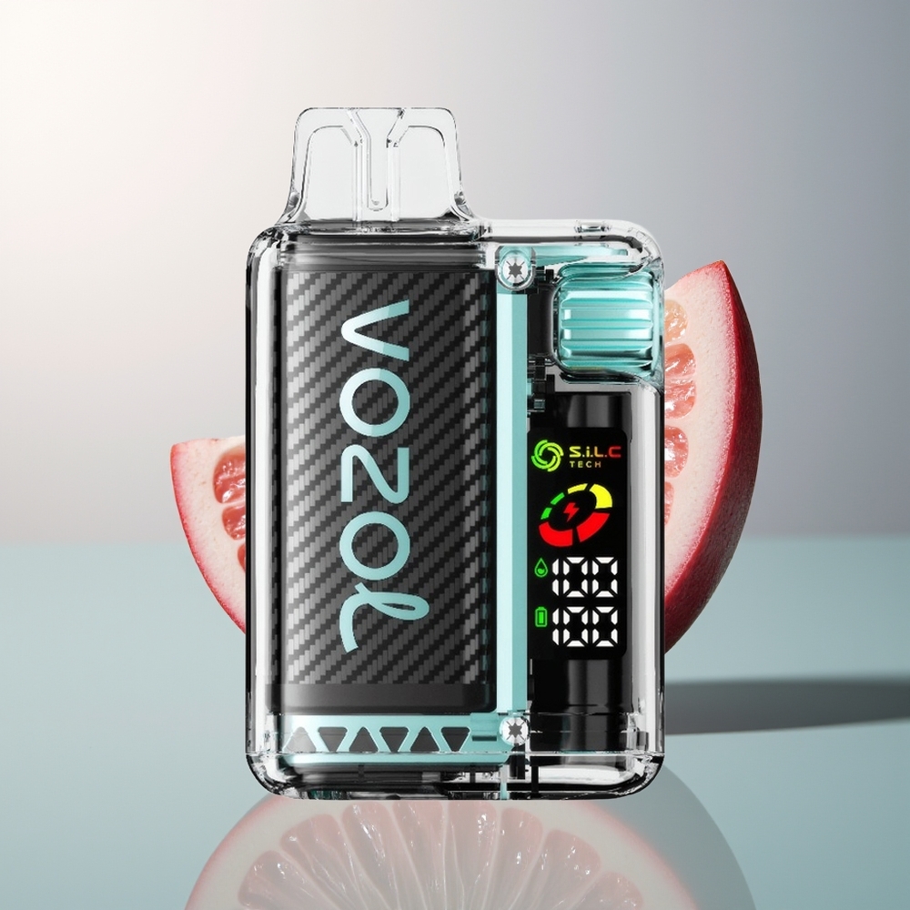 VOZOL Vista 20000 Amsterdam Munt 650mAh 2 OLED
