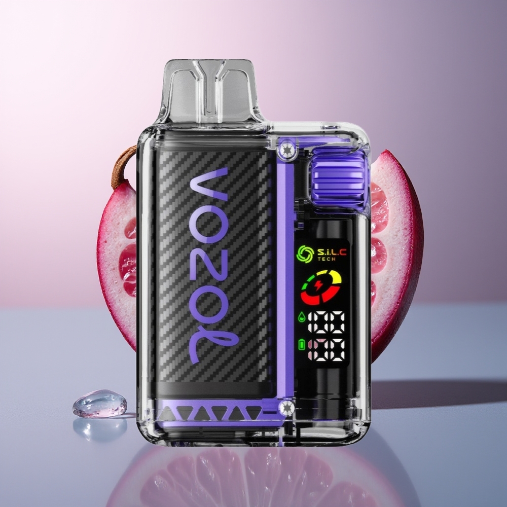 VOZOL Vista 20000 Druiven IJs 650mAh 2 Nicotine