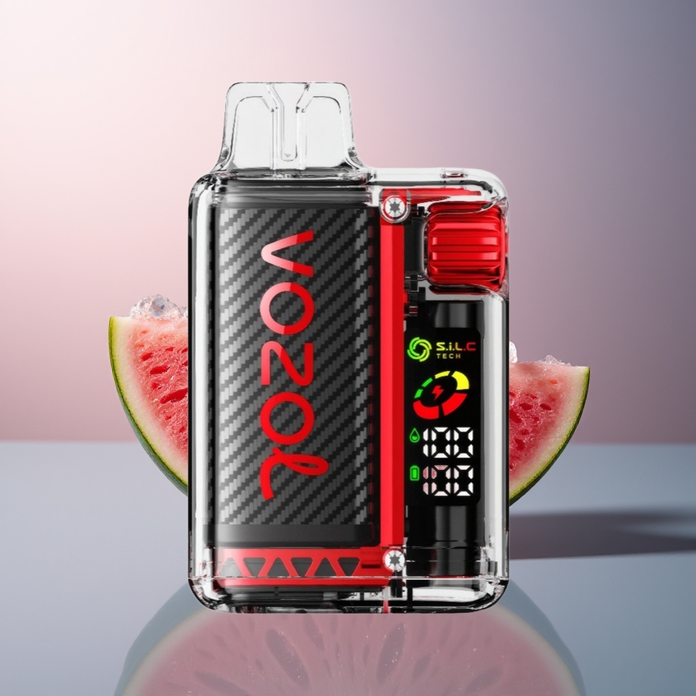 VOZOL Vista 20000 Framboos Watermeloen Oplaadbare Batterij Dual Mesh Coil