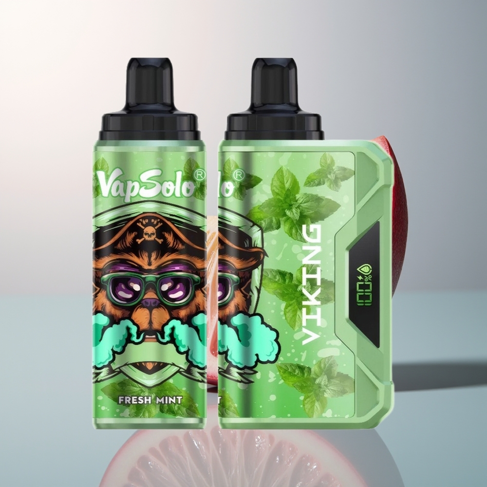 VapSolo VIKING 12000 Verse Munt Type-C  LED