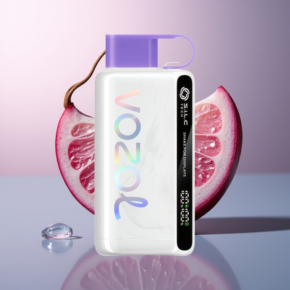 VOZOL STAR 9000/12000 Druif IJs SiLC TECH 650mAh