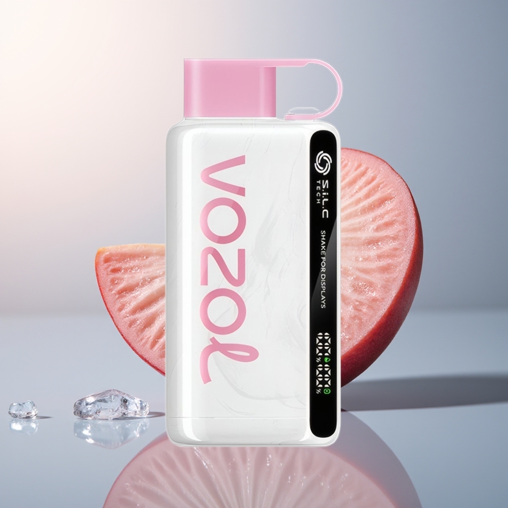 VOZOL STAR 9000/12000 Perzijs IJs met Snel Opladen en Gerecycled Plastic