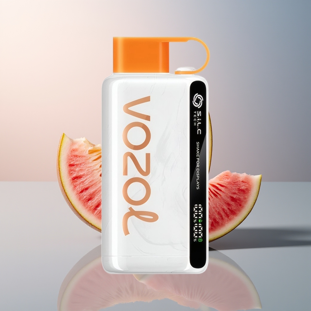 VOZOL STAR 9000/12000 Perzik Mango Watermelon Shake en Snel Opladen